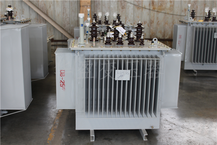 临汾S20-800kVA/10kV/0.4kV变压器